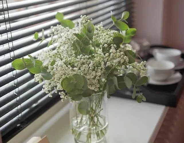 The Alma Taverns Boutique 2 - Hopewell 度假居 *