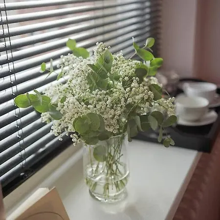 The Alma Taverns Boutique 2 - Hopewell Ferienhaus *